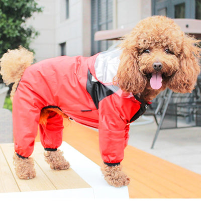 Imperméable chien – combinaison imperméable veste de pluie-rouge