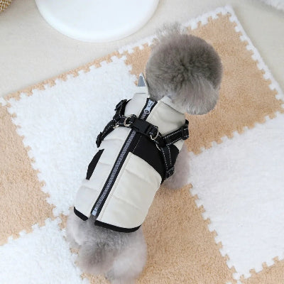 Imperméable pour chien -  réglable et réfléchissante-beige