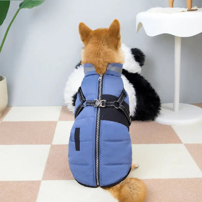 Imperméable pour chien -  réglable et réfléchissante-bleu