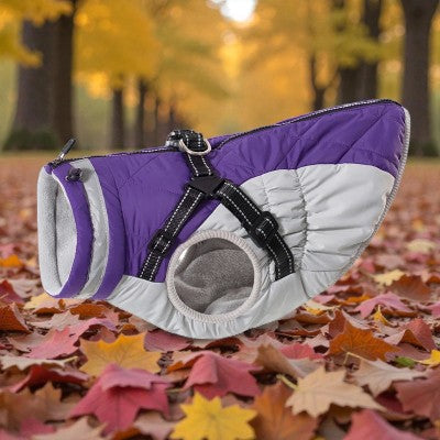 Impermeable-chien-pour-gros- avec-harnais-chauds-dhiver-mauve