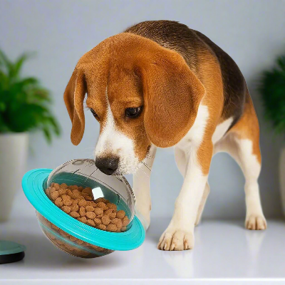 Jouet-interactif- pour-chien-soucoupe-spatiale-chien-decouvert-regarde