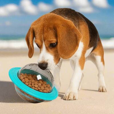 Jouet-interactif- pour-chien-soucoupe-spatiale-chien-decouvert