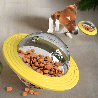 Jouet-interactif-pour-chien-soucoupe-spatiale-chien-regarde-son-jouet