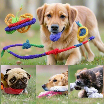 Jouet-pour-chien-corde-quatres-chiens-heureux