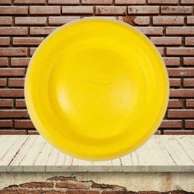 Jouet-pour-chien-mache-disque-volant