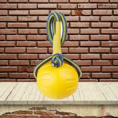 Jouet-pour-chien-mache-grosse-balle-lancer-9cm