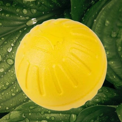 Jouet-pour-chien-mache-grosse-balle-solide-9cm