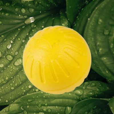 Jouet-pour-chien-mache-petite-balle-solide-7cm