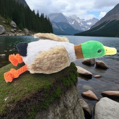 Jouets-couineur-pour-chien-canard-corde-demo