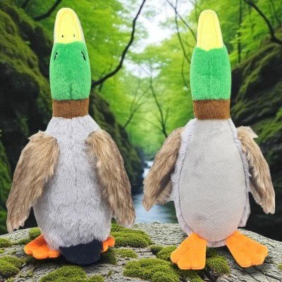 Jouets pour chien - canard couineur - au royaume des chiens