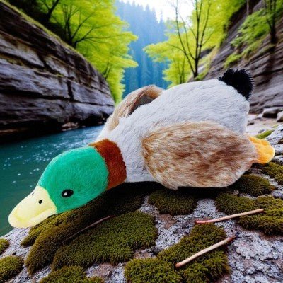 Jouets pour chien - canard couineur - au royaume des chiens