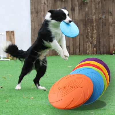 Jouets-pour-chien-frisbee-chien-joue