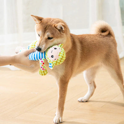 Jouets-pour-petits-chiens-en-caoutchouc-chien-adore