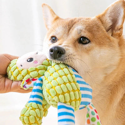 Jouets-pour-petits-chiens-en-caoutchouc-chien-bon-dentitions