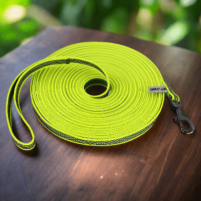 Laisse chien - latex soie - au royaume des chiens