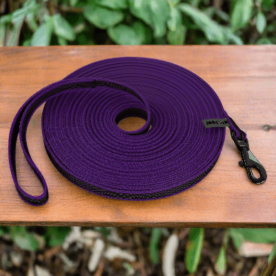 Laisse chien - latex soie - au royaume des chiens