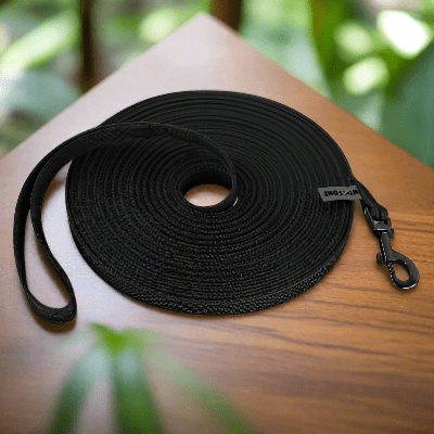 Laisse chien - latex soie - au royaume des chiens