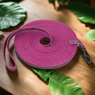 Laisse chien - latex soie - au royaume des chiens