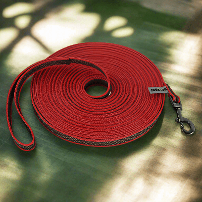 Laisse chien - latex soie - au royaume des chiens