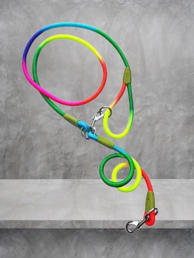 Laisse-de-chien-reflechissant-multicolore