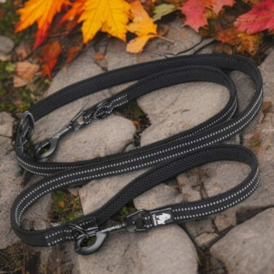 Laisse double pour chien -  multi usages