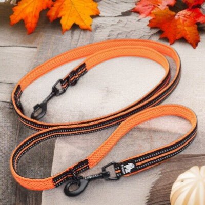 Laisse-double-pour-chien-multi-usages-orange