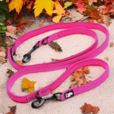 Laisse-double-pour-chien-multi-usages-rose