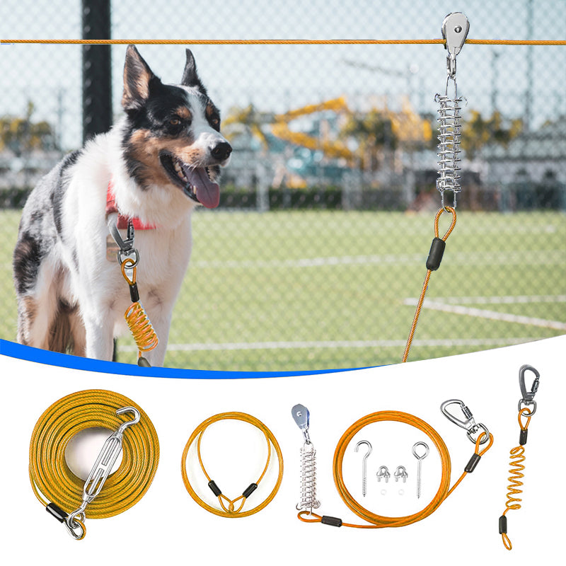 Laisse pour chien - câble