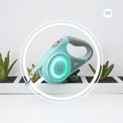 Laisse pour chien  - rétractable roulettes