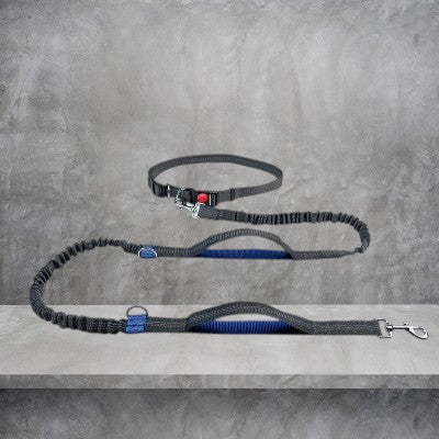 Laisse-pour-chien-retractable-reflechissant-bleu