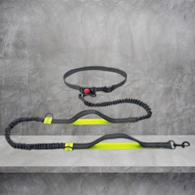Laisse-pour-chien-retractable-reflechissant-jaune