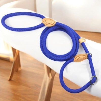 Laisse chien - corde nylon-bleu-1.8m-demo