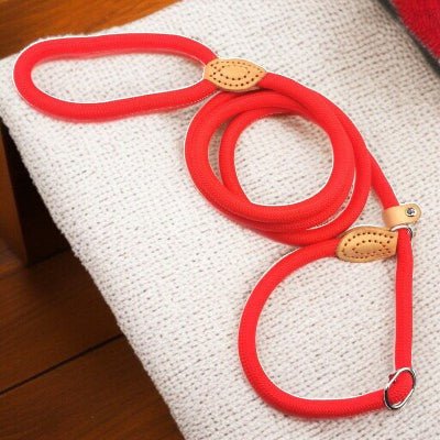 Laisse chien - corde nylon-noir-1.8m