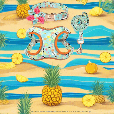 Laisse pour chien estivale - légère confort été-motif-ananas-laisse-collier