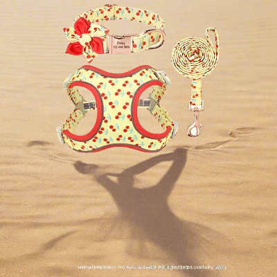 Laisse pour chien estivale - légère confort été-motif-cerises-laisse-collier