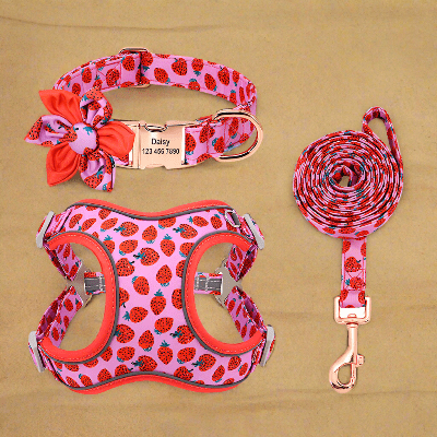 Laisse pour chien estivale - légère confort été-motif-fraise-laisse-collier