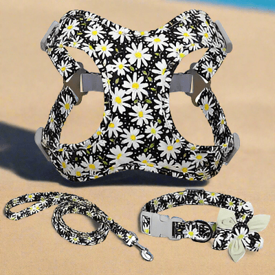 Laisse pour chien estivale - légère confort été-motif-marguerite-laisse-collier