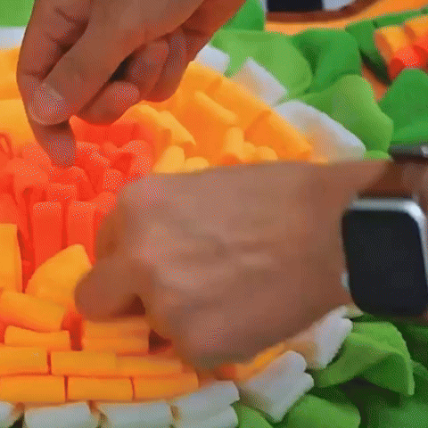 Tapis-de-fouille-jardin-chien-cherche-friandises