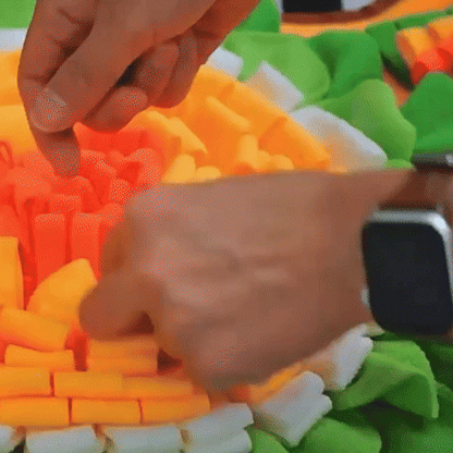 Tapis-de-fouille-jardin-chien-cherche-friandises