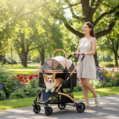 Poussettes pour chiens - 2-en-1 pliable  Roues 360°  Panier de rangement-Femme au parc avec poussette dorée et Corgi