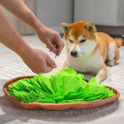 Tapis-de-fouille-laitue-chien-regarde-concentrer