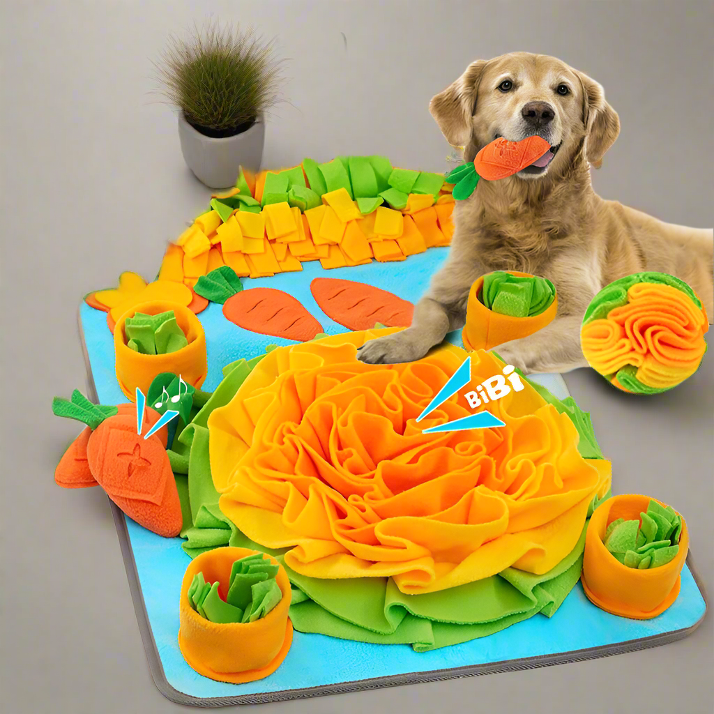 Tapis-de-fouille-jardin-chien-relaxe-devant