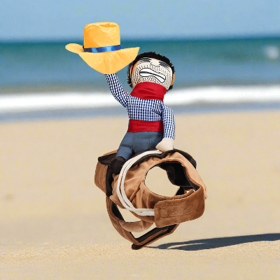 Harnais pour chien - cowboy - au royaume des chiens