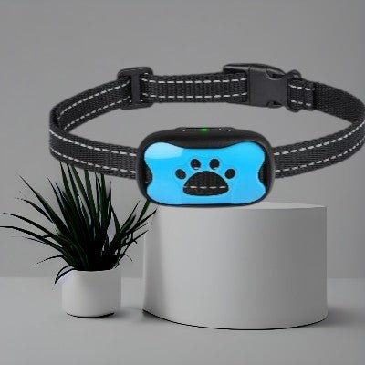 collier-anti-aboiement-chien-rechargeable-bleu