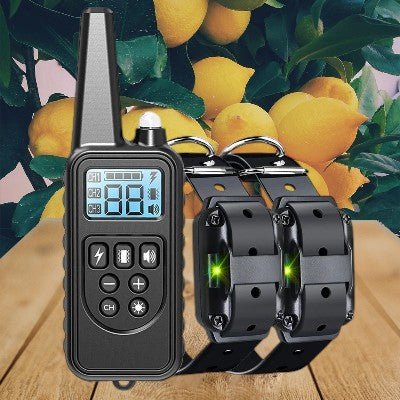 collier-anti-aboiement-chien-télécommande-deux-noir