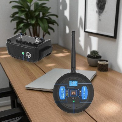 collier-anti-aboiement-pour-chien-clôture-demo