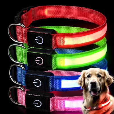 collier-chien-lumineux-differente-couleurs-rouge-vert-bleu-rose