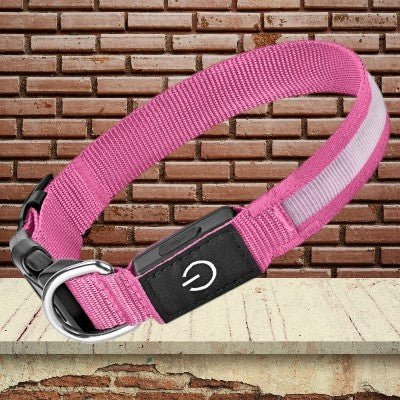 collier-chien-lumineux-rose