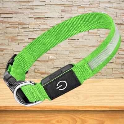 collier-chien-lumineux-vert