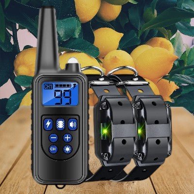 collier-dressage-pour-chien-telecommande-deux-bleu